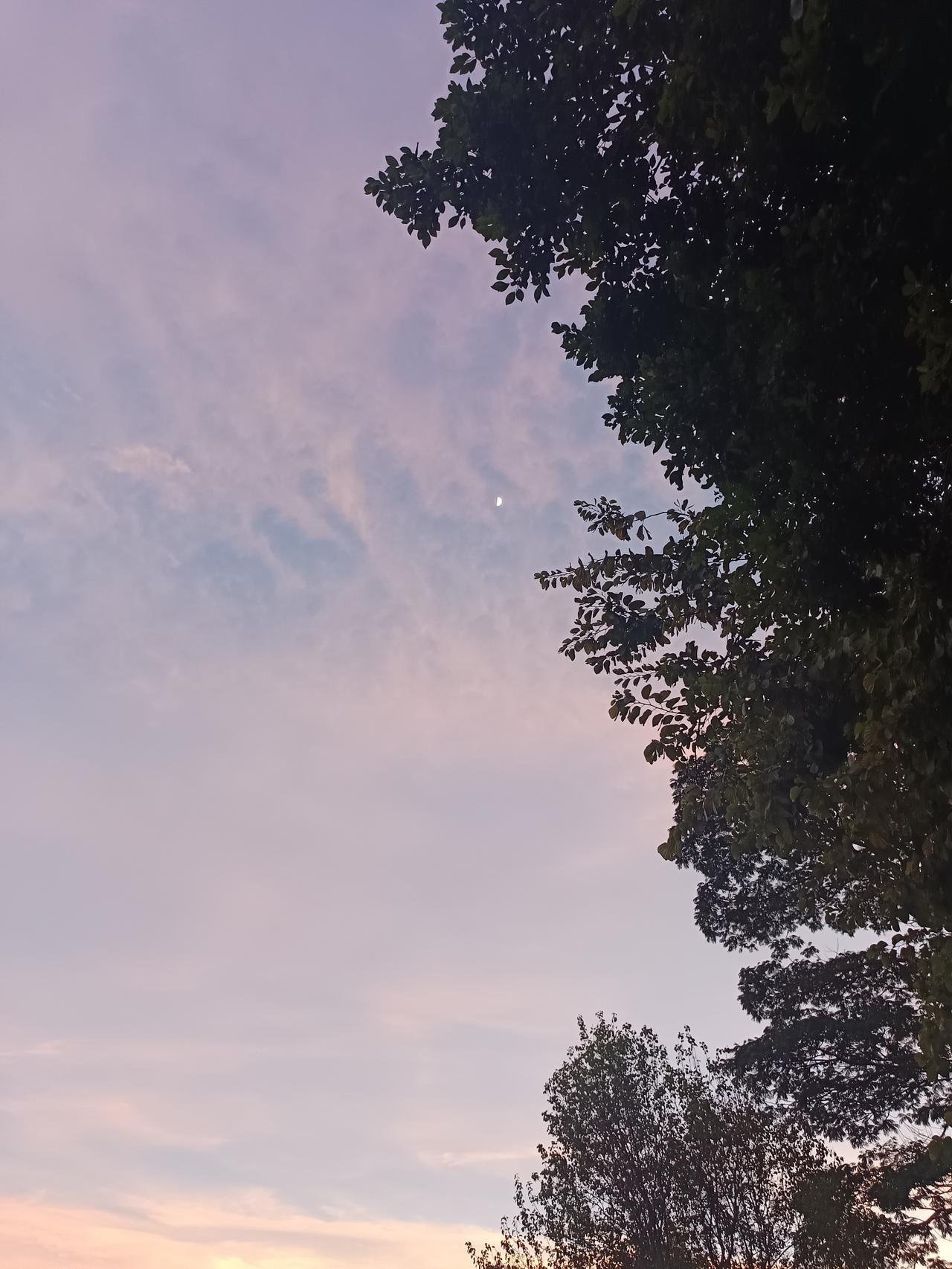 工资低，有没有前途只适合养老，环境不错，气气候温和在你眼中,肇庆是一座怎样的