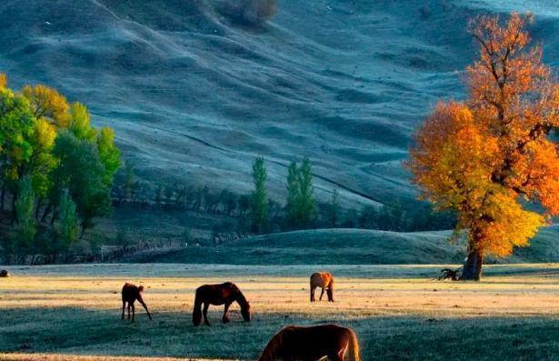 近代中国饱经风雨，山河破碎，无数领土在列强胁迫下被迫割让。当目光聚焦新疆北部，夏