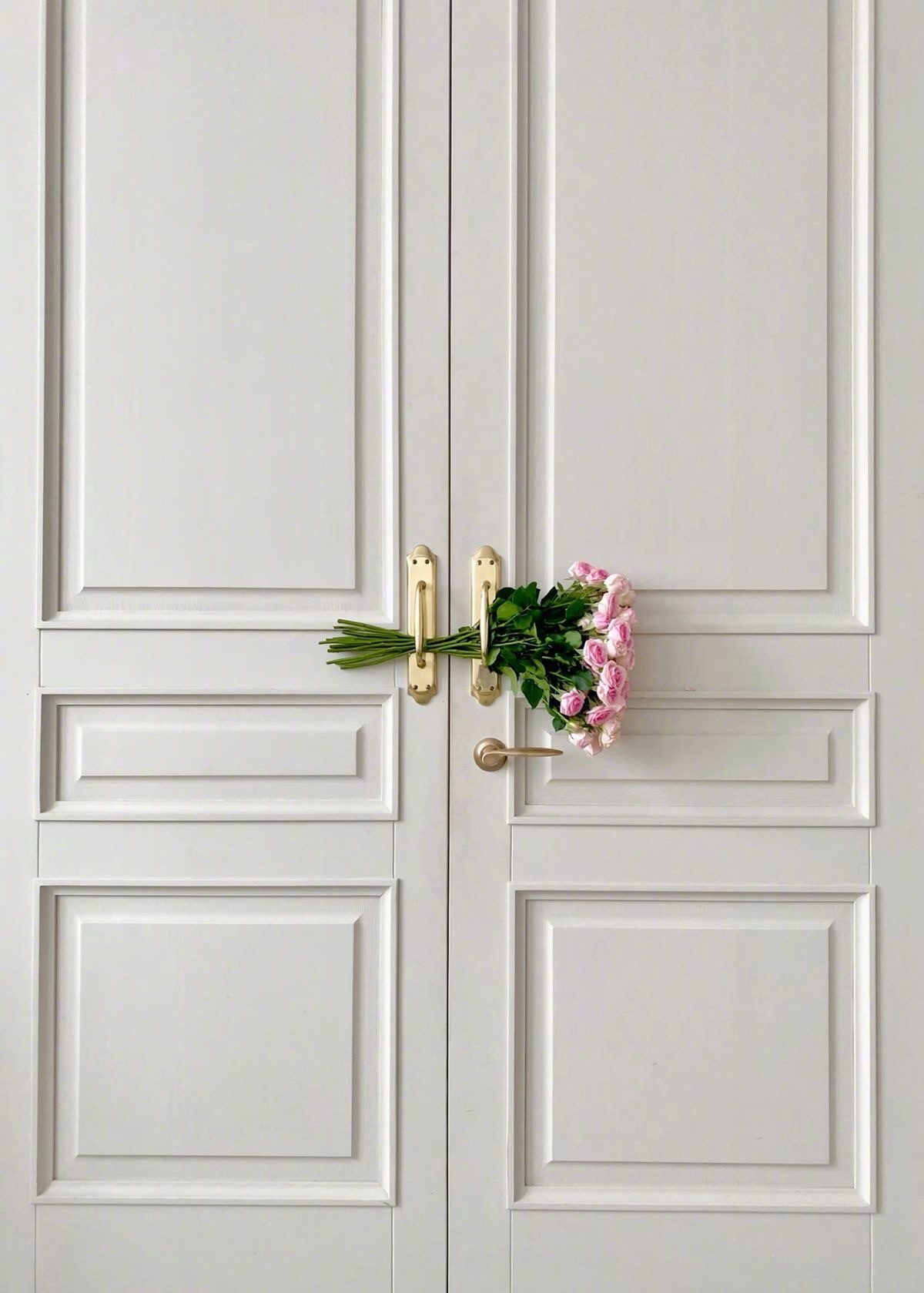 2026年度代表色——PANTONE11-4201CloudDancer