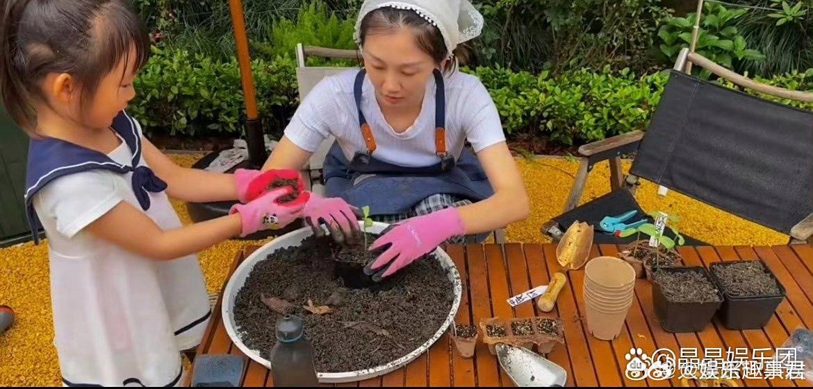 苗苗晒的是大宝小时候看vlog她蛮幸福的，挺好。苗苗：后悔没有早点儿遇到彼此郑