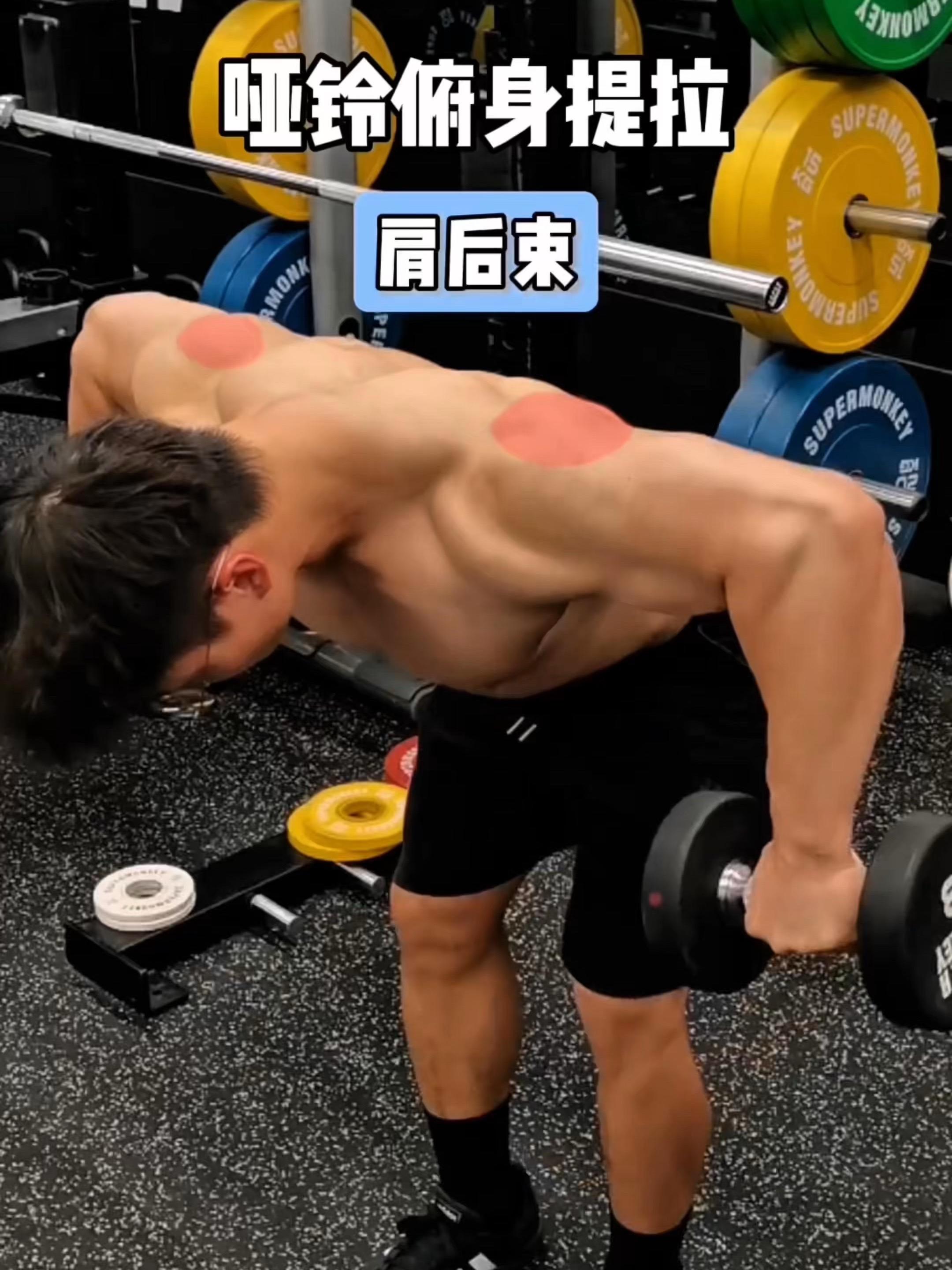 哑铃俯身提拉，保姆级教程！ 一、目标肌群 哑铃俯身提拉，肩后束 二、练...