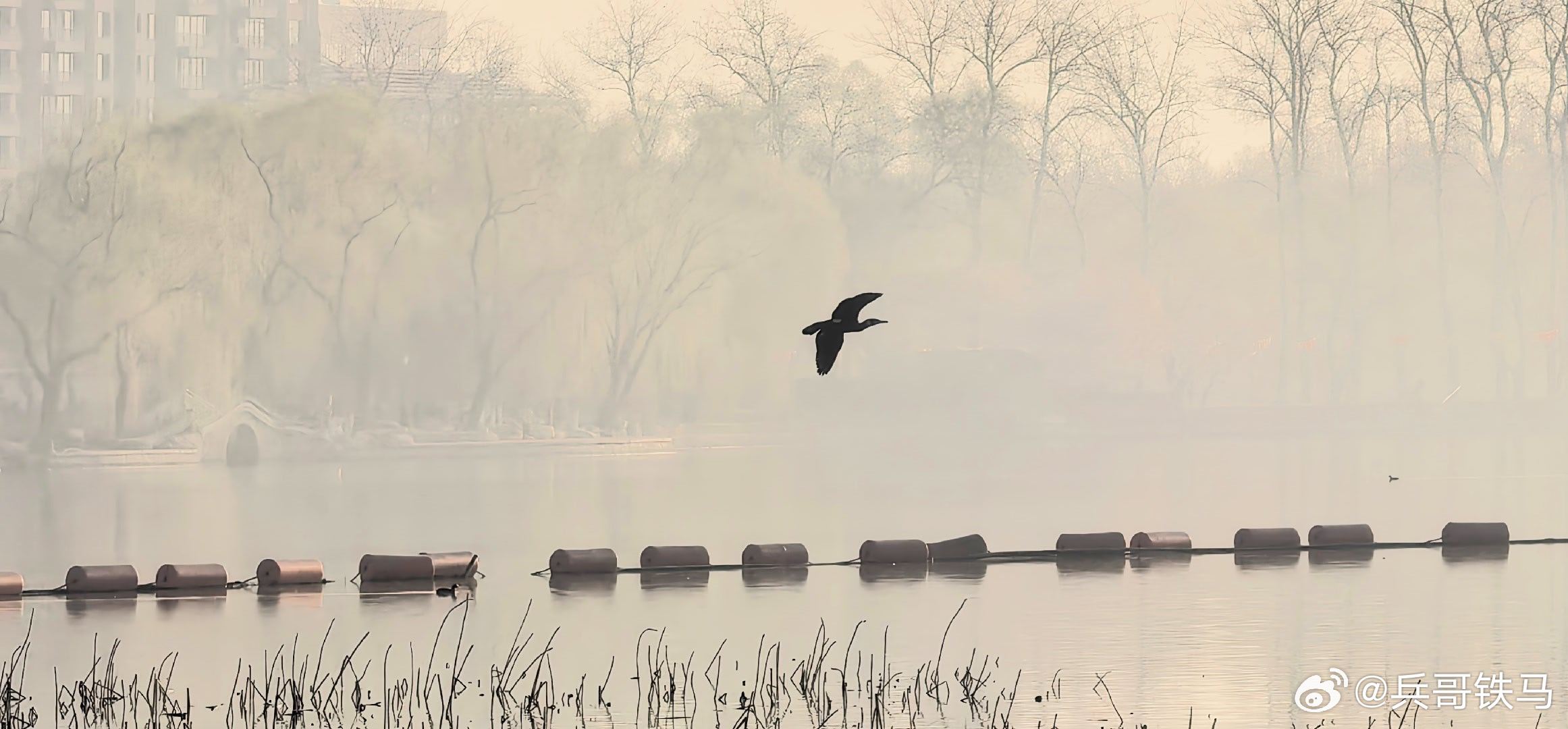  水墨玉渊美如画摄影