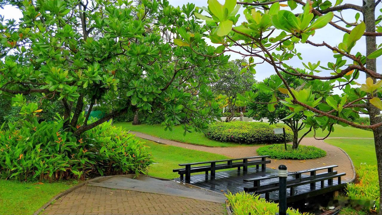 离谱的事情又来了啊，特特表示，2028年载人登月，2030年前建立月球核反应堆！