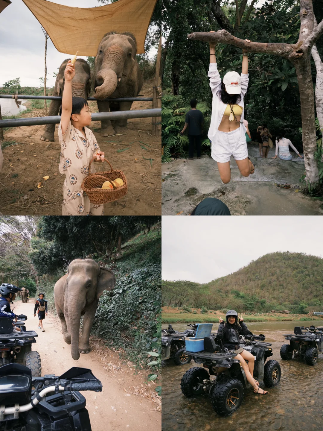 清迈10小时｜粘粘瀑布 + 大象咖啡+丛林ATV