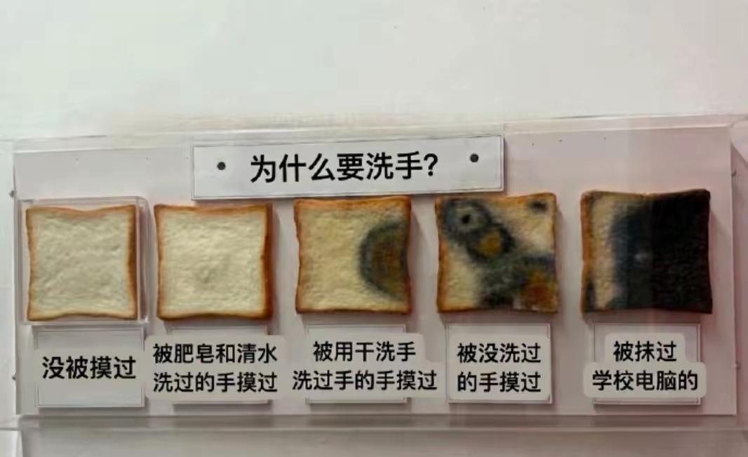这就是饭前洗手的原因[狗头]