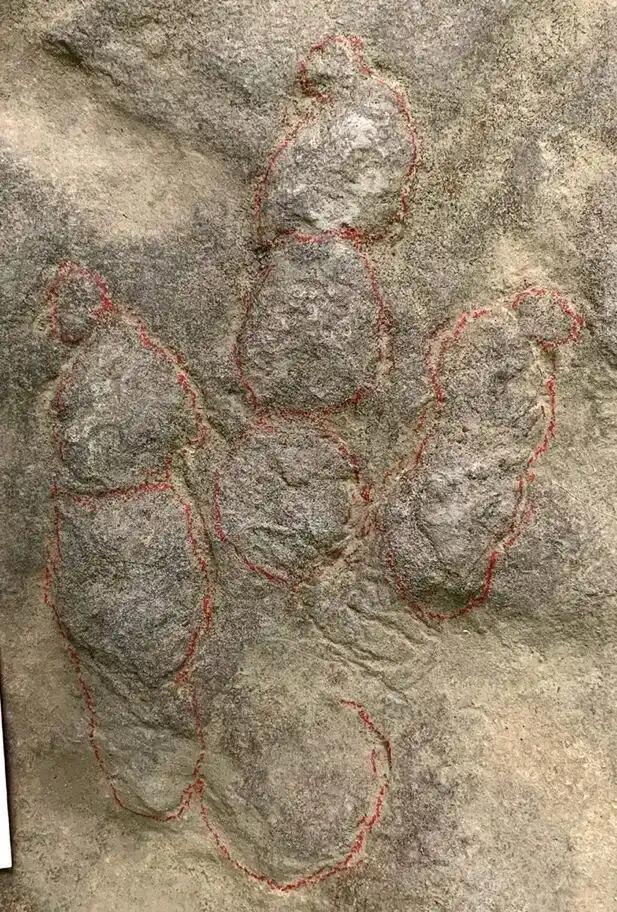 天下奇事！乡村小路垫脚石变国宝。近日，某乡村一则"垫脚石变国宝"的消息引发热议