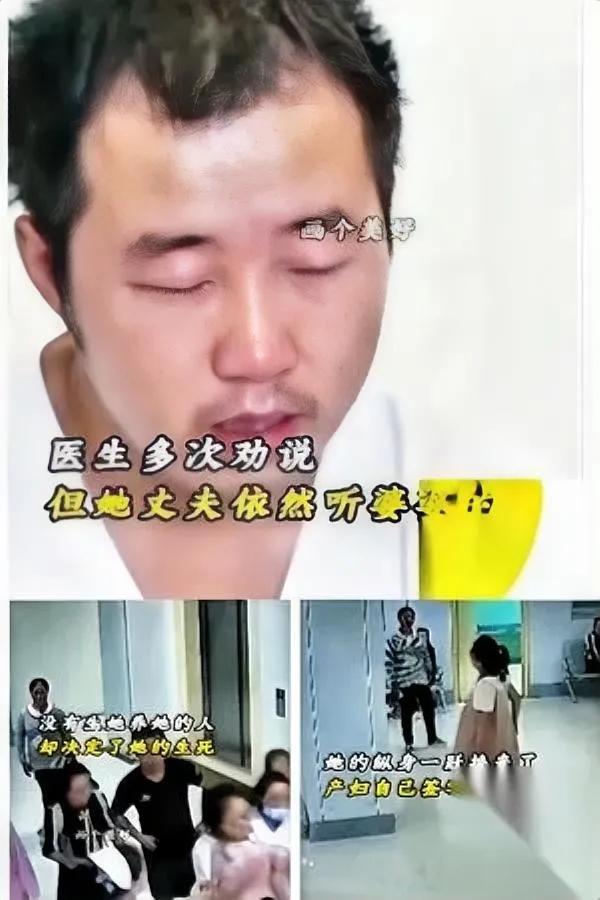 你还记得马茸茸吗？26岁跳楼的待产孕妇。你知道她用命换了什么福利吗？