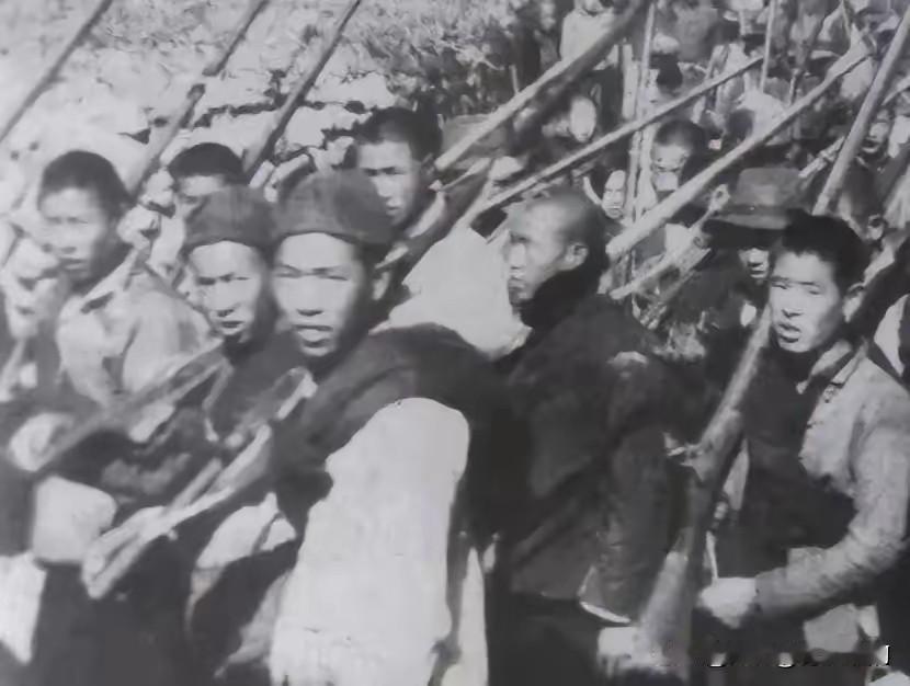 1950年，当琼崖纵队出现在四野官兵面前时，让他们大吃一惊，他们没有想到2万多名