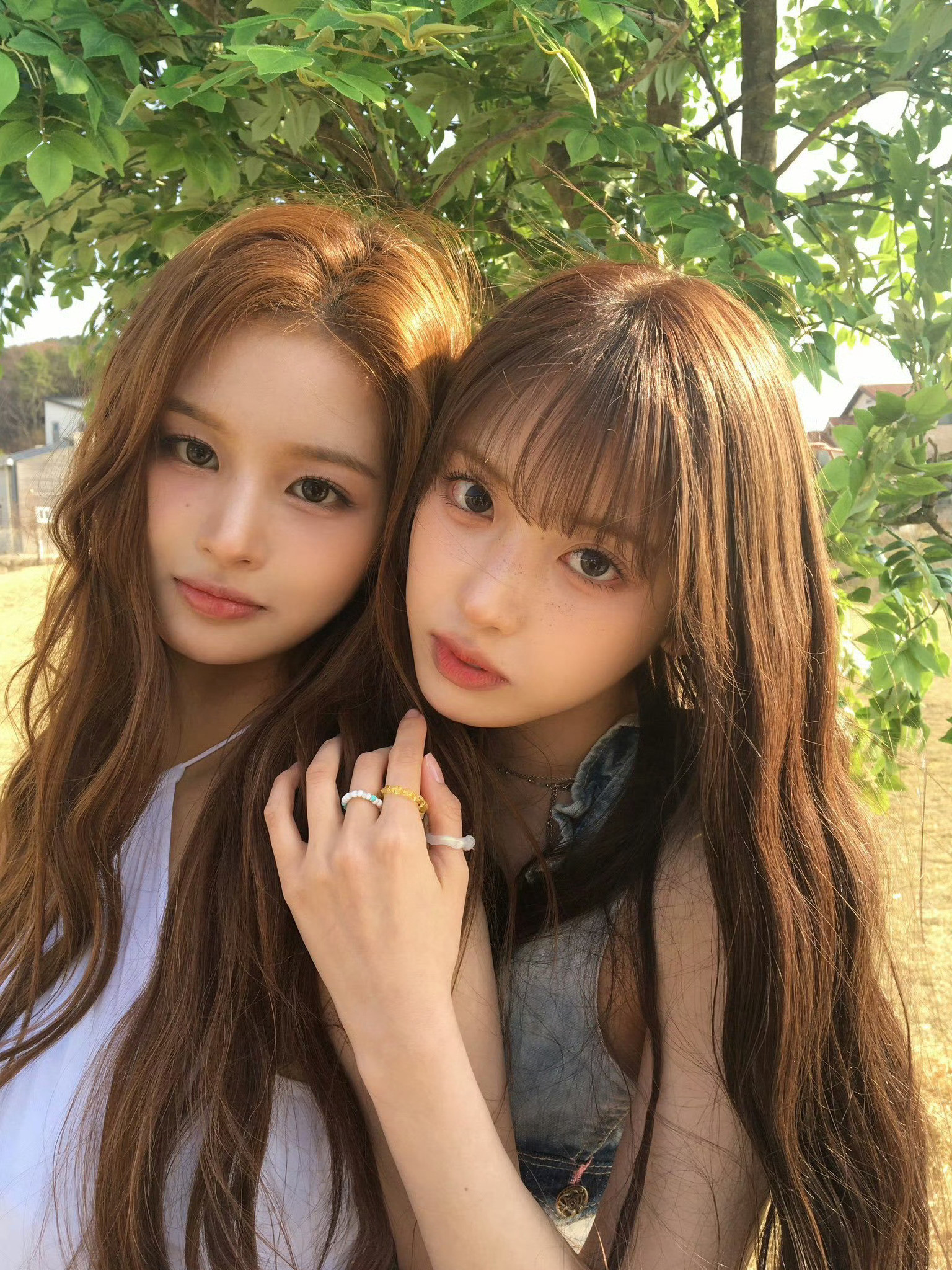 雪允&金智羽纯情百合少女漫连载中​​​