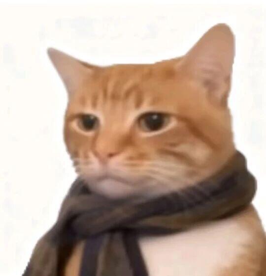 咪讨厌冬天，人，天冷记得加衣