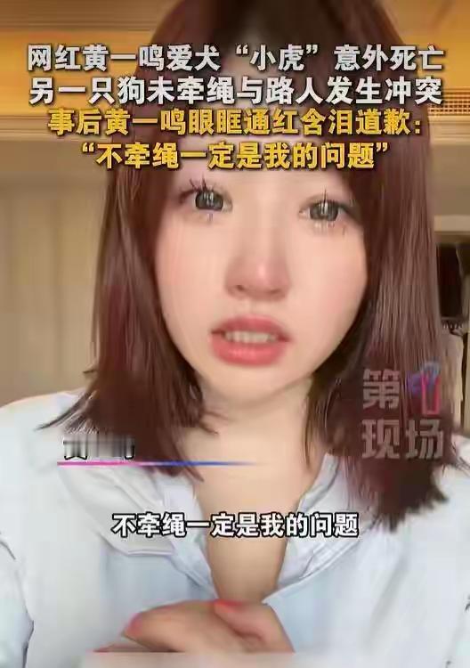 情绪激动是要付出代价的，百万网红也不能例外。2026年6月20日，网红黄一鸣爱犬