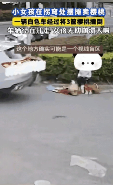 5月17日，山东一小女孩在路边摆摊卖樱桃，不料一辆轿车转弯时把三筐樱桃撞翻在地扬
