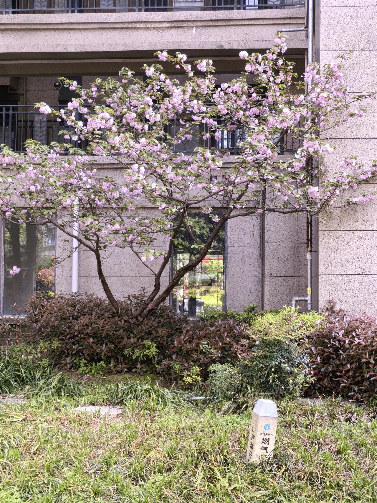 我们这栋的电梯已经连续坏了几次，只有一部电梯能用上下都要等好久，不过我们业主素质