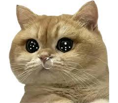 啥叫突然的惊喜，就是，突然发觉本周末是三连休。。。