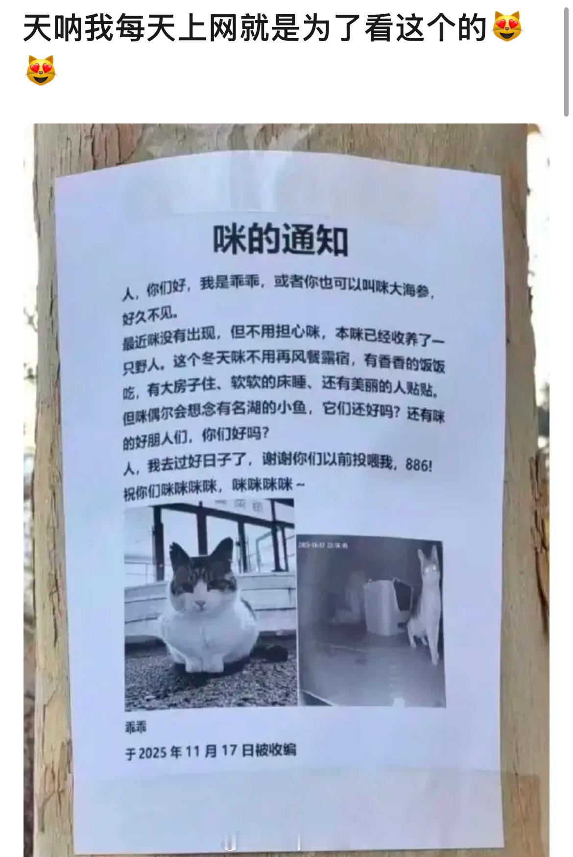 一篇“咪的通知”🥹