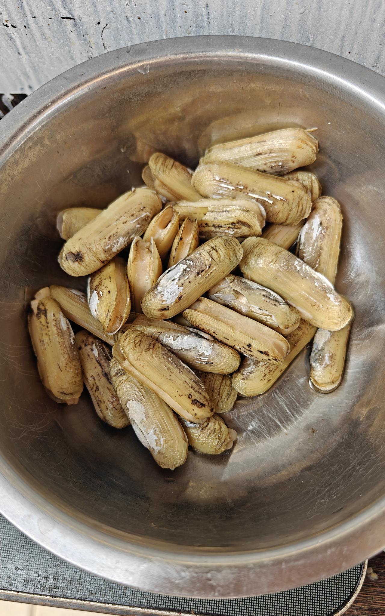 那天刷视频，无意看到有人用秋葵炒蛏子。今天一早去早市和我家老张买了一斤蛏子23