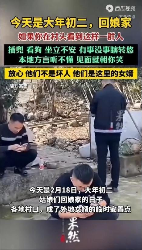 大年初二，你家闺女带着女婿回来了吗？村头，有这么一群人，插兜看狗，坐立不安，有
