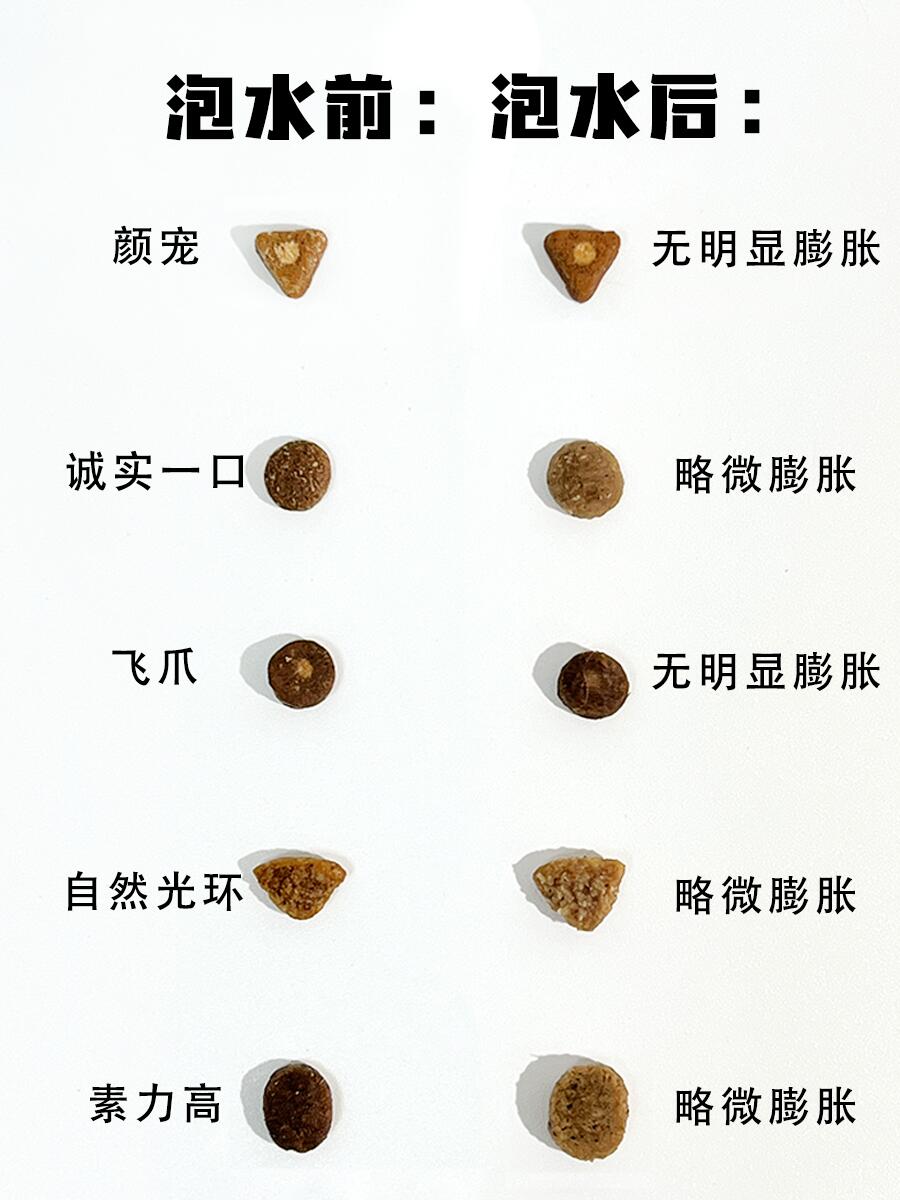 热门猫粮靠谱大测评⁉平价猫粮专区🫡