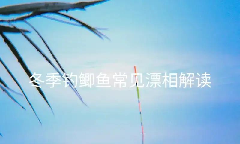 0.3目顶漂错过就是空军冰水下鲫鱼只剩半口，浮漂轻抬0.3目，比头发丝还细