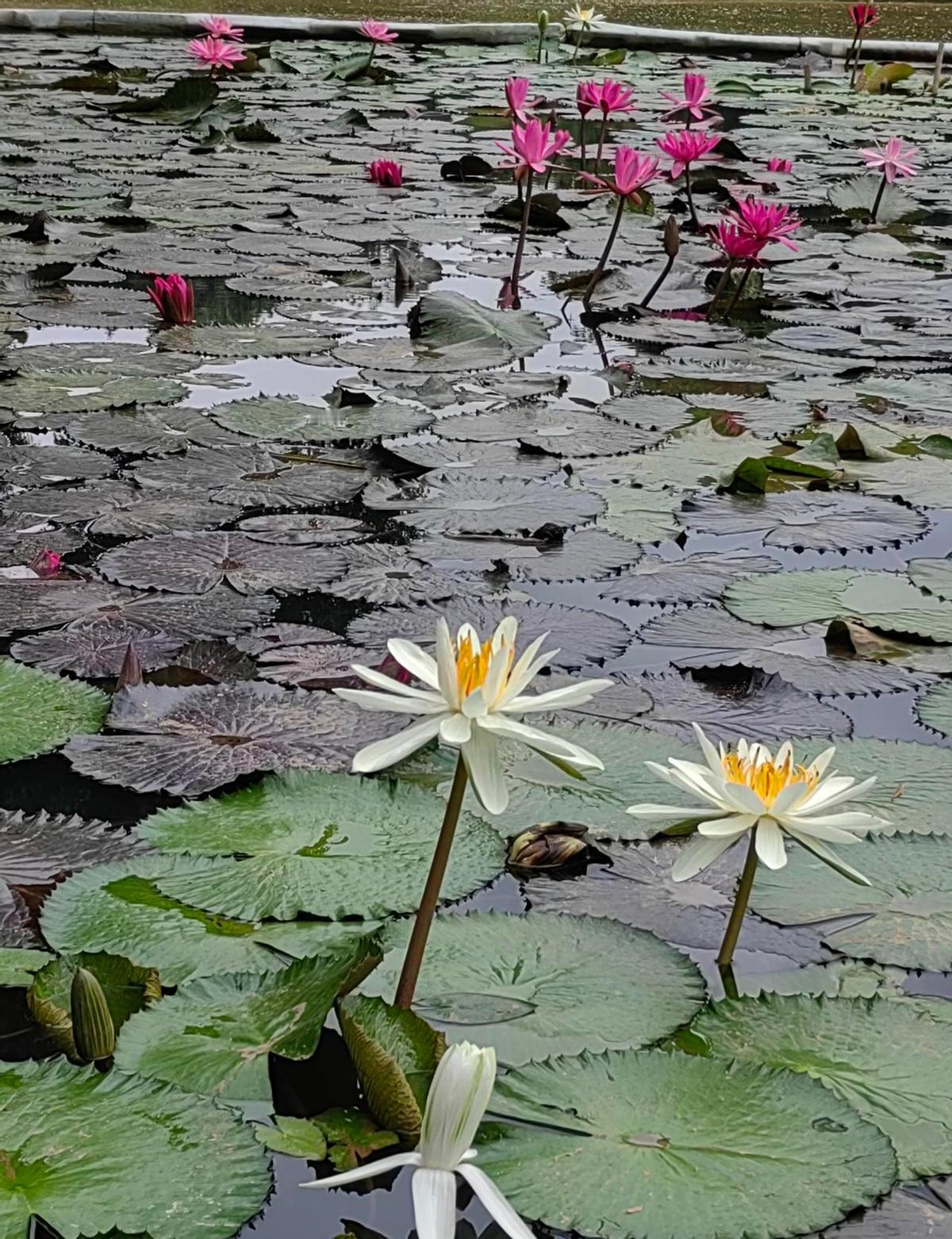 1900块退休金，日子得算着过。老公五千，全砸在孩子补习班和水电费里。存款不