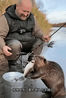 这位外国老人啊，一看就是个特别温暖，脾气还好得不得了的人！当时他在河边钓鱼