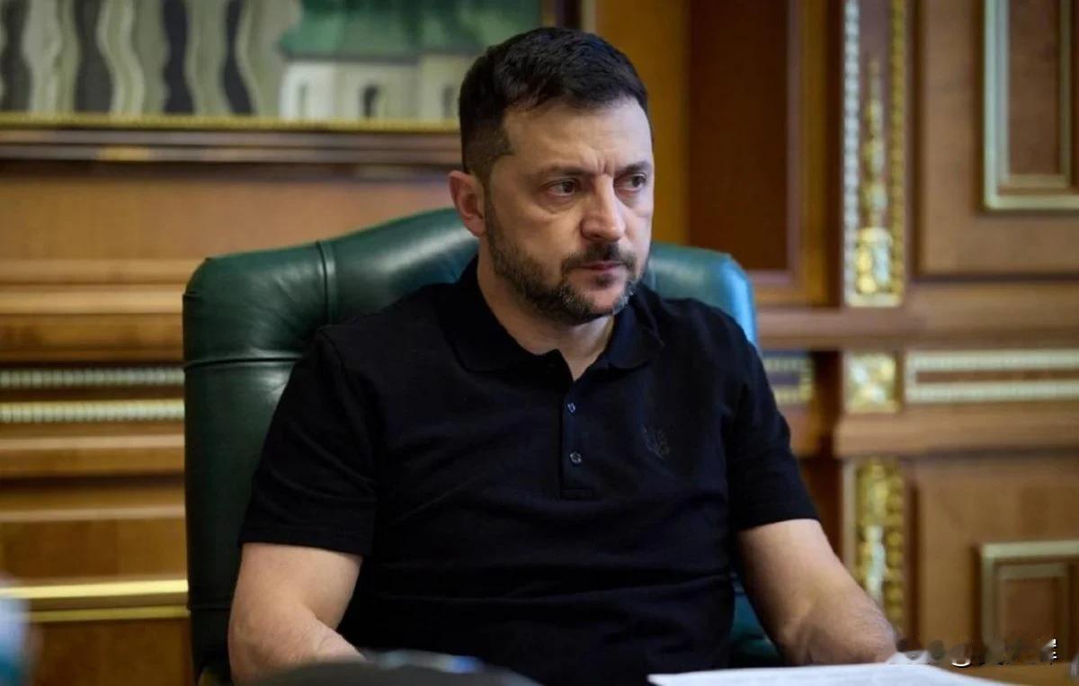 美媒：欧洲警告泽连斯基称和平谈判中需警惕最危险的错误12月5日，《华尔街日报