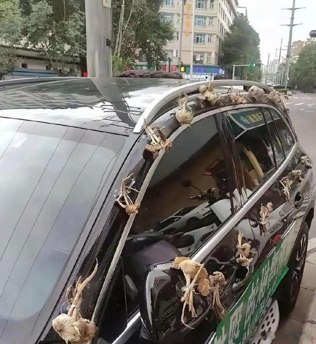 不懂就问，他这样做是什么意思？