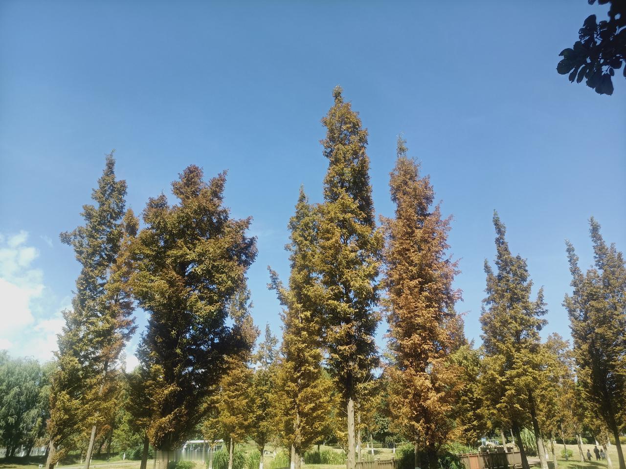分享美景，共赏美好