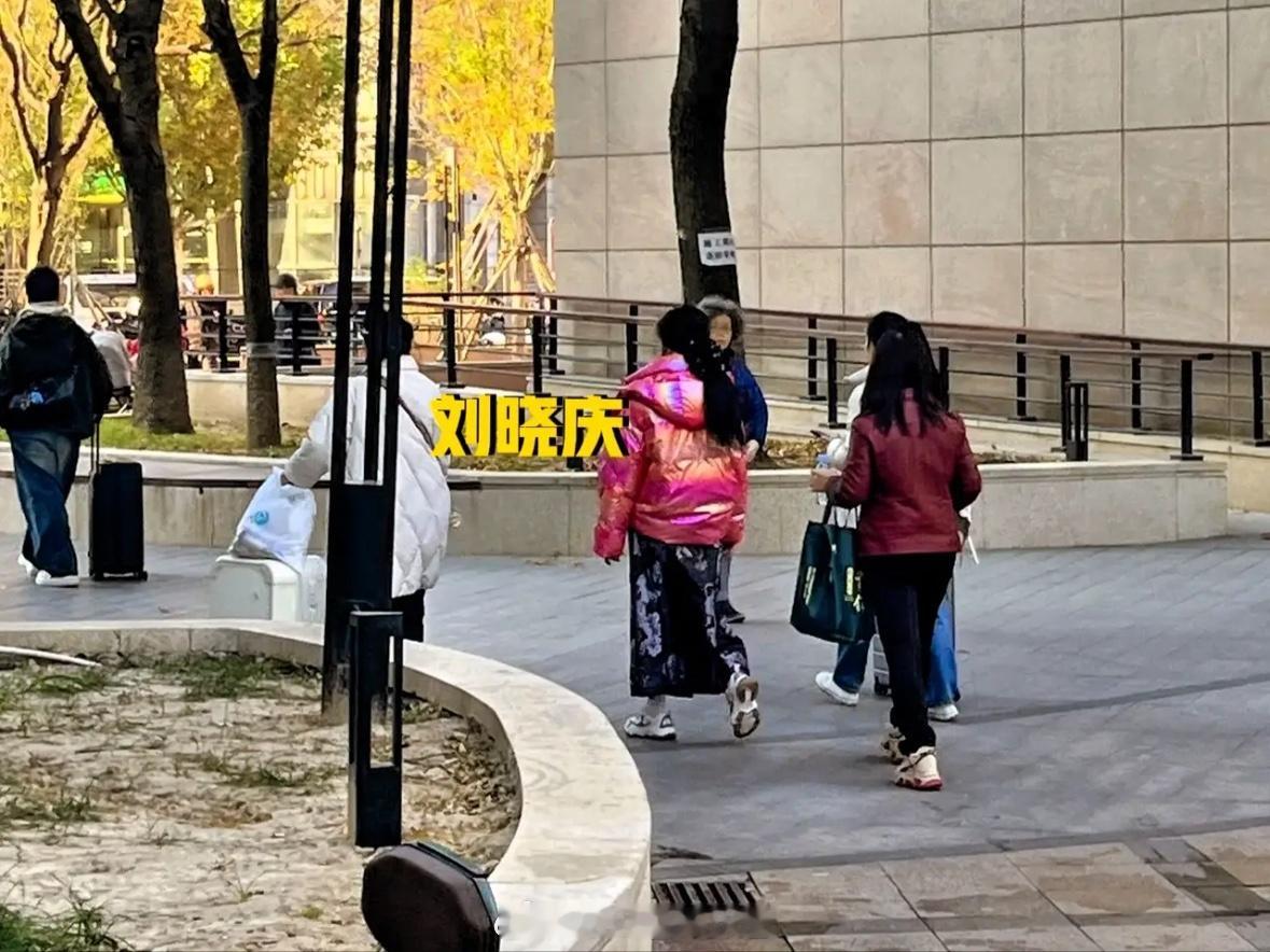 有网友在北京偶遇刘晓庆，庆奶穿着粉色羽绒服，扎着厚厚的马尾！这头发真好，又黑又亮