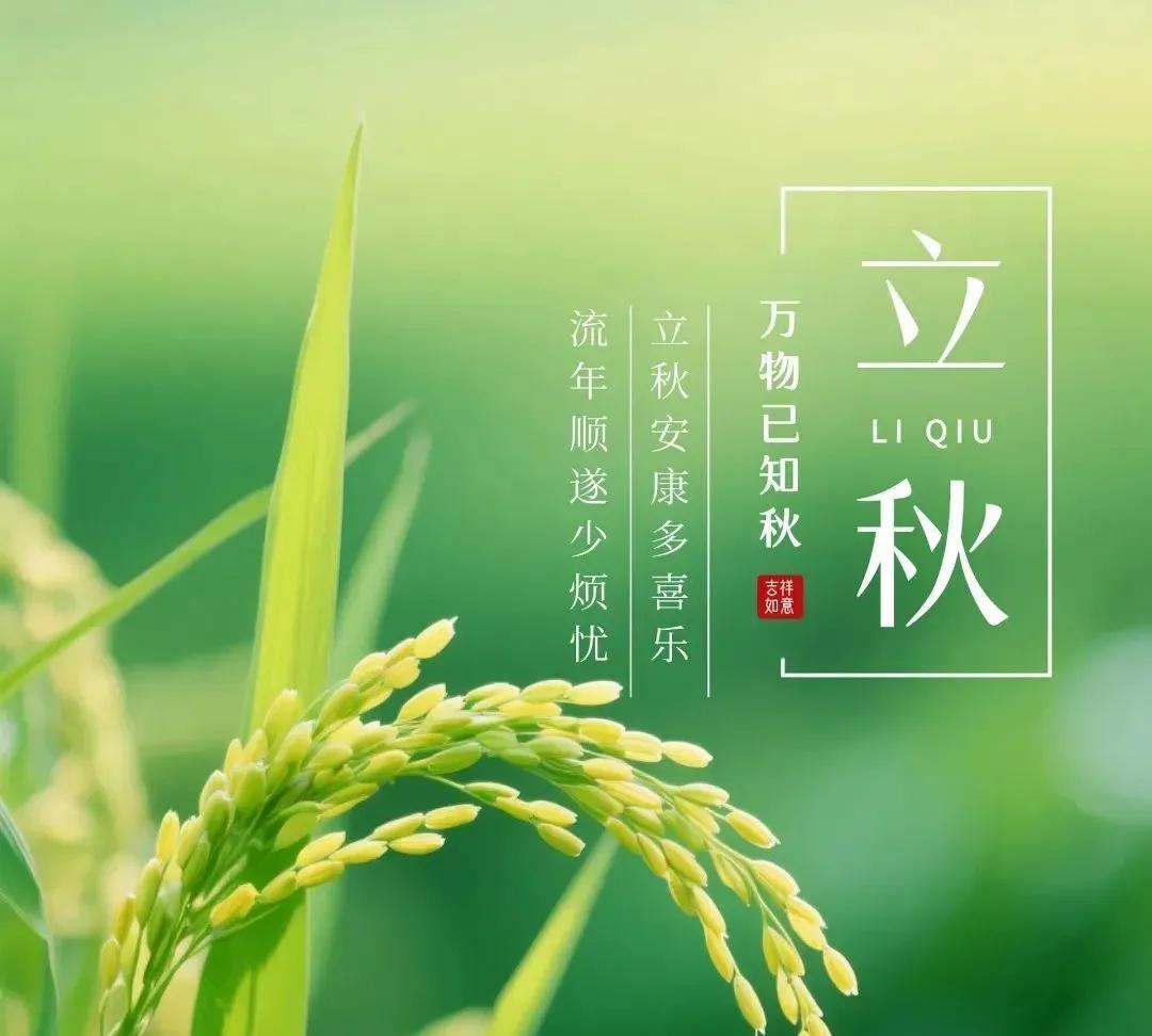 《立秋吟》金风乍叩玉门扉，梧叶初凋映晚晖。残暑犹藏莲蕊瘦，新凉暗染稻花肥。