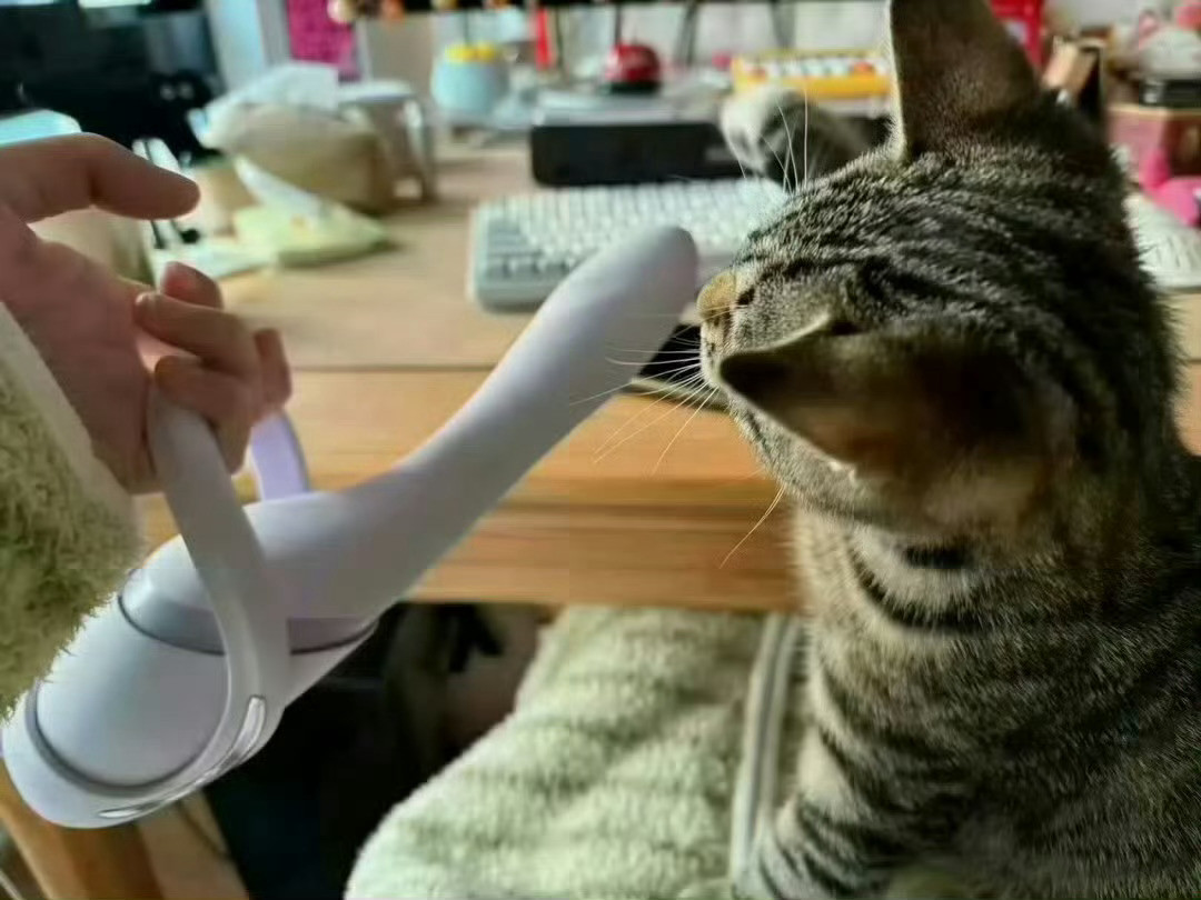 好好玩的逗猫棒​​​[无奈摊手]​​​​​​