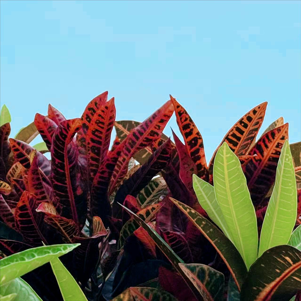 今天上午  山东：执纪审查1人 4月16日上午，该省执纪审查1人，为已经退