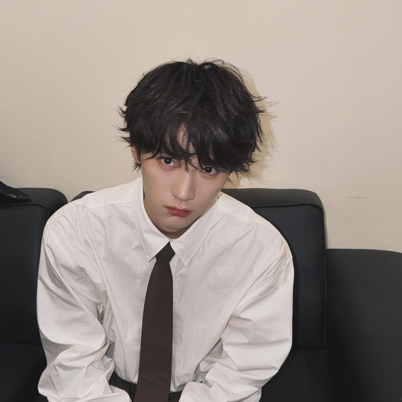 周翊然卷毛小狗周翊然直播救命!周翊然卷毛造型就是可爱小狗本狗,这萌度谁都扛不住