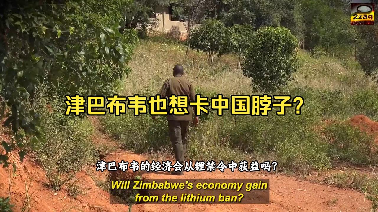 中国若想立威，必须打一次硬仗！津巴布韦这波操作真是让人摸不着头脑啊！以前就知道它