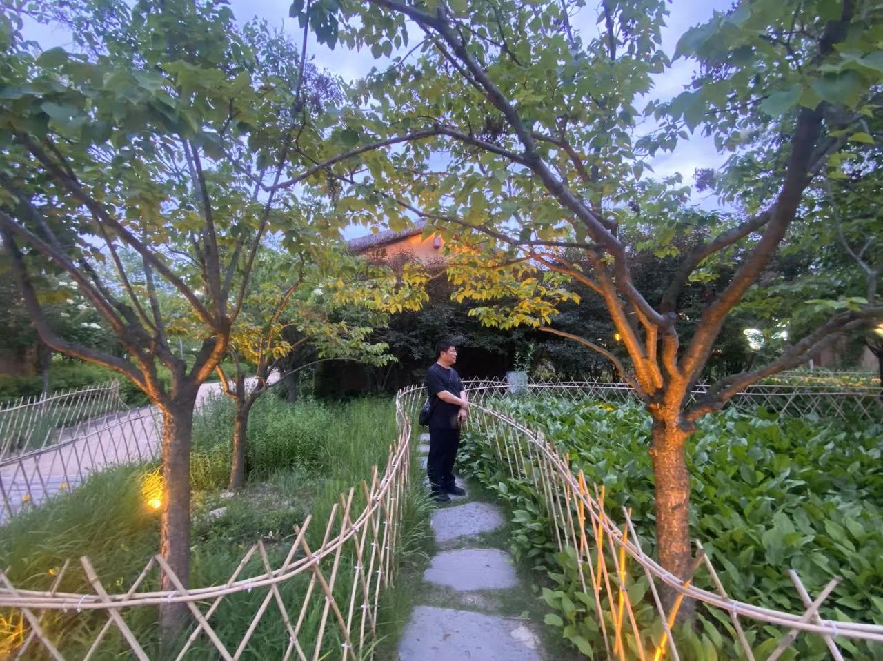 今天早晨邻居一个老人去世了。这个老人平时自己居住，只有过年过节，我才能看到子