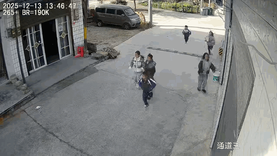 “严查到底！”12月13日，湖南安化，一群孩子在村口玩耍时，突然冲过来一条恶犬，