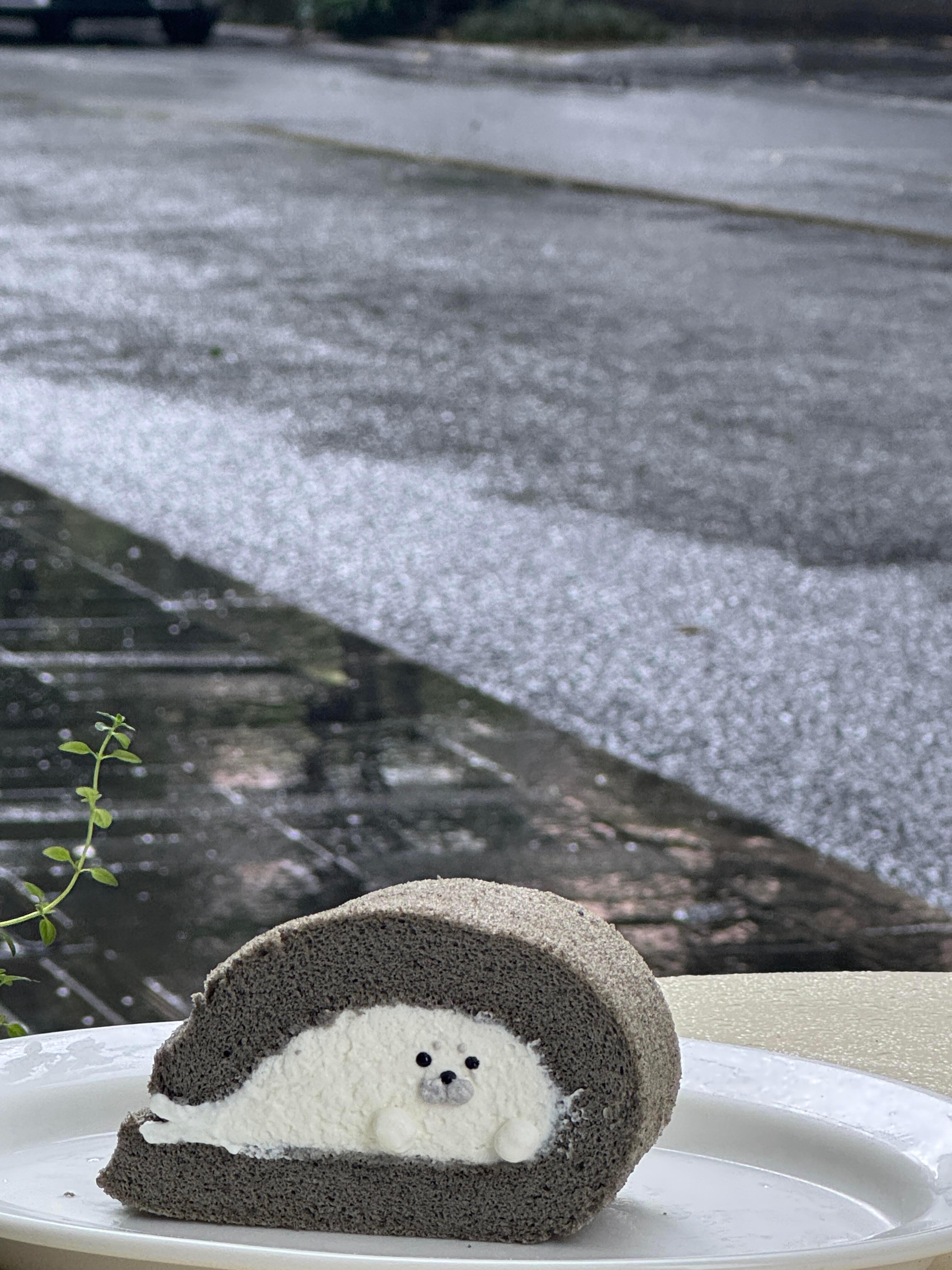 拥豹雨天