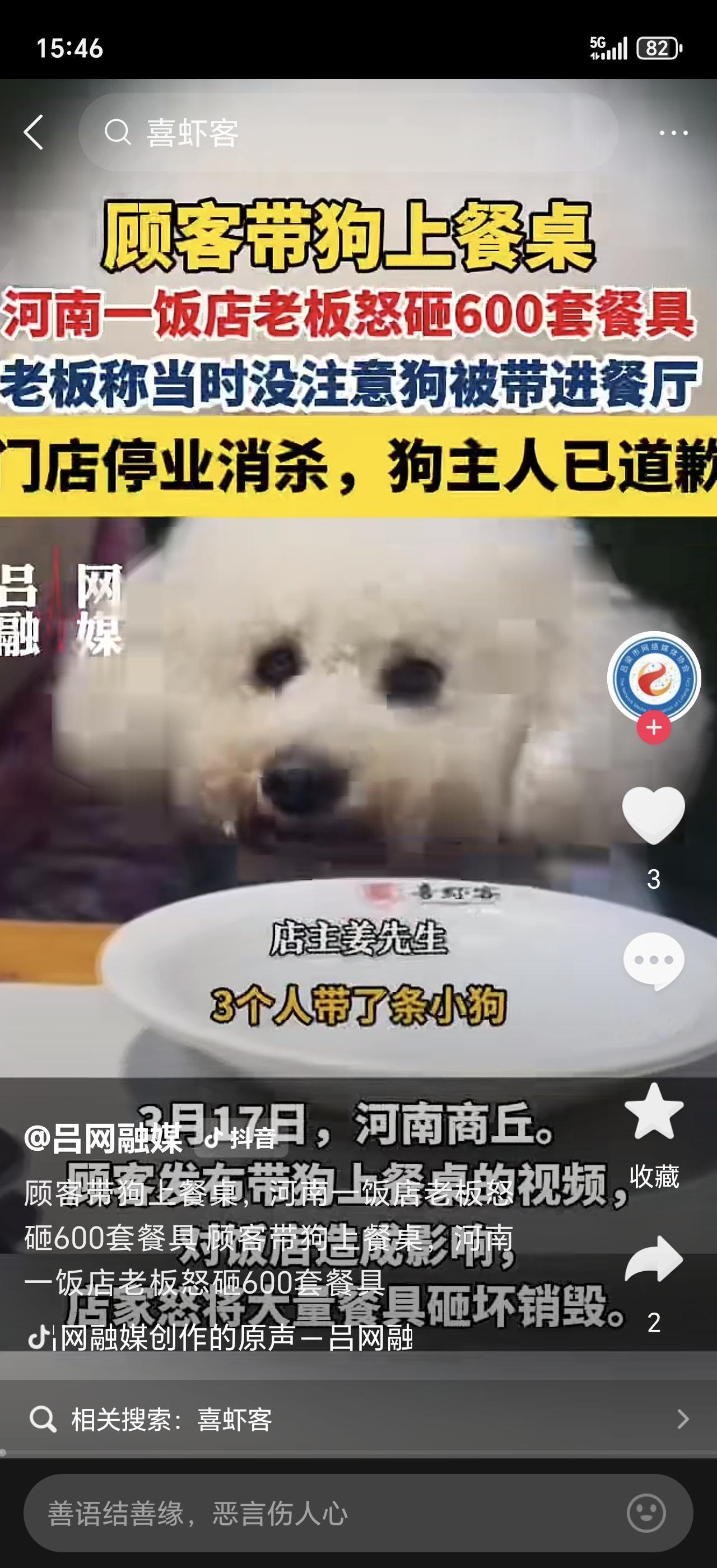 餐厅顾客带狗上桌吃饭，店主抄起木棍当场砸碎600块餐具！现场视频曝光，网友彻底炸