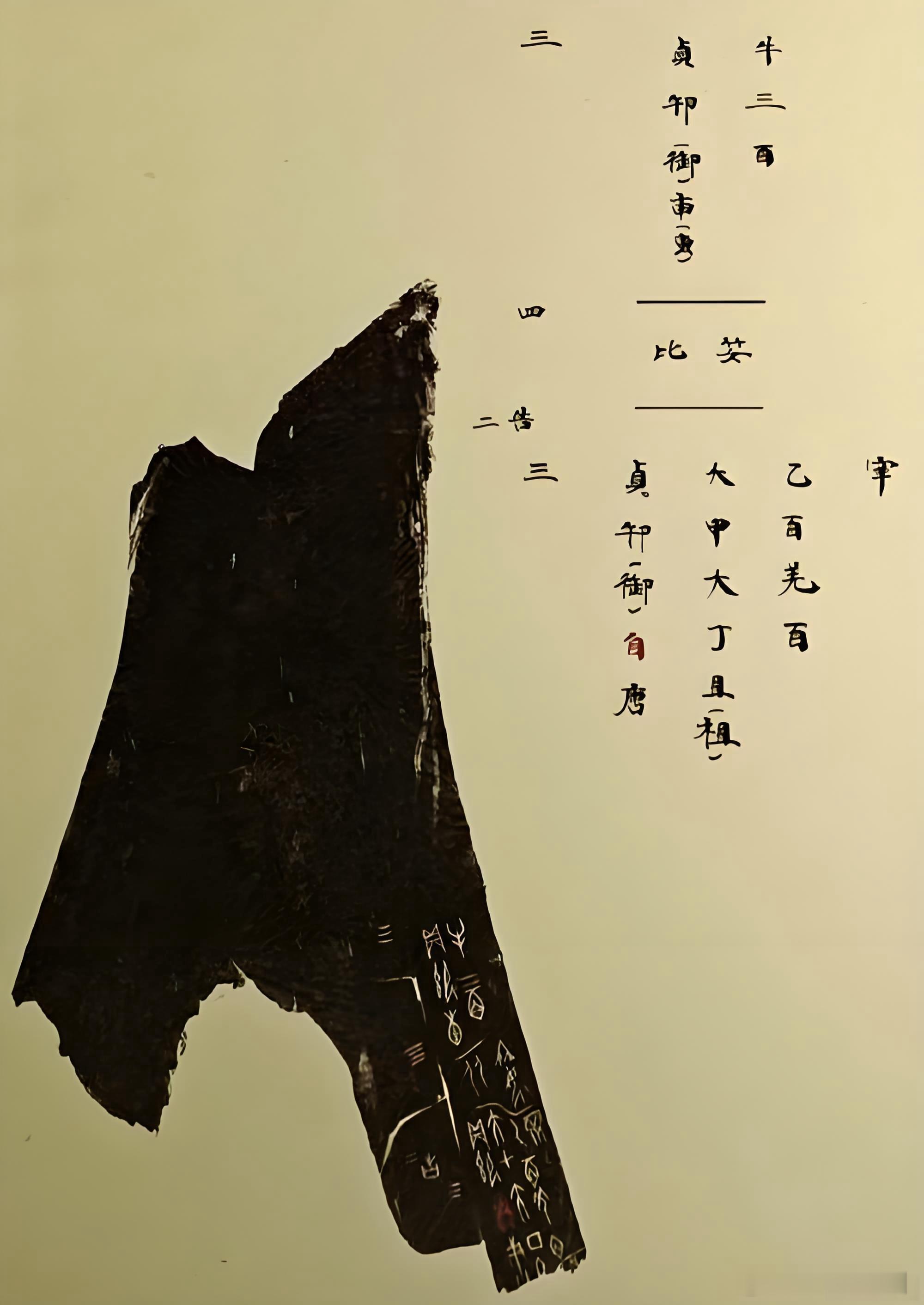 商王祭祀，“百羌百牢”这是一片极具历史价值的商代甲骨卜辞，记载的是商王主持的一场