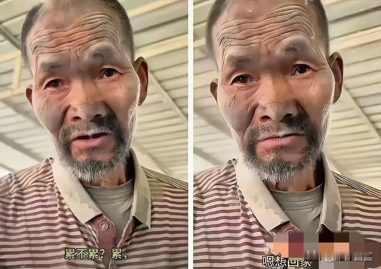 水泥厂老板进局子了，水泥老人找到了家，一切都回到了正轨，但是现在最大问题，
