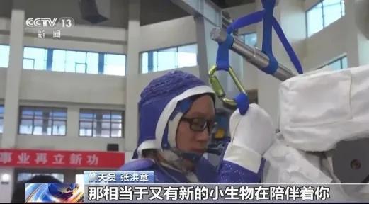 四只小鼠竟比人类先实现星际梦想！中国空间站迎来特殊宇航员团队，这些毛茸茸的先锋正