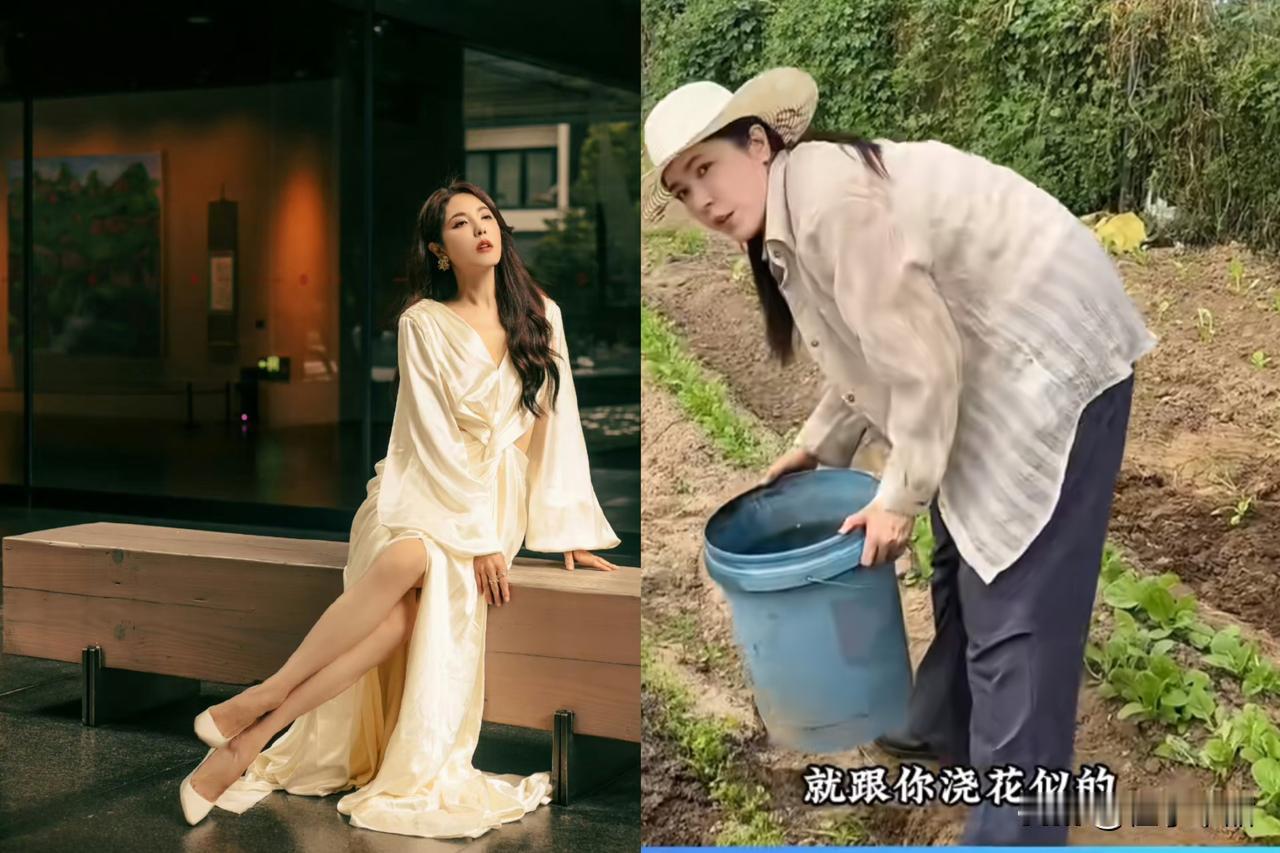 终于知道曾黎为什么不结婚了，不是她眼光高，也不是她对感情失望了，而是她发现种