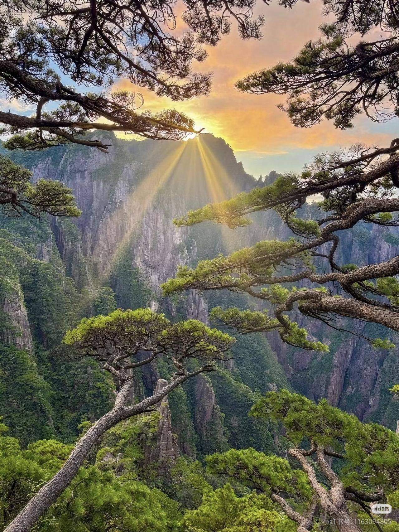 徐霞客没有骗我❗️登黄山天下无山❗️夏天来黄山，既能感受清凉山景，又能避开人
