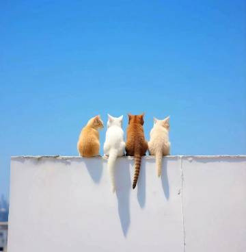 《黄帝内经》提醒：1、在所有抗衰的方法里：提肛是最棒的2、在所有养胃的方法里：揉