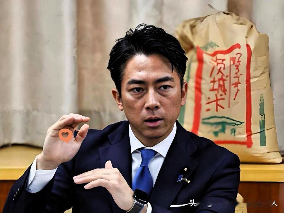 笑不活了！日本防卫大臣小泉进次郎，妥妥的政坛“废话大师”，一番迷惑发言直接看