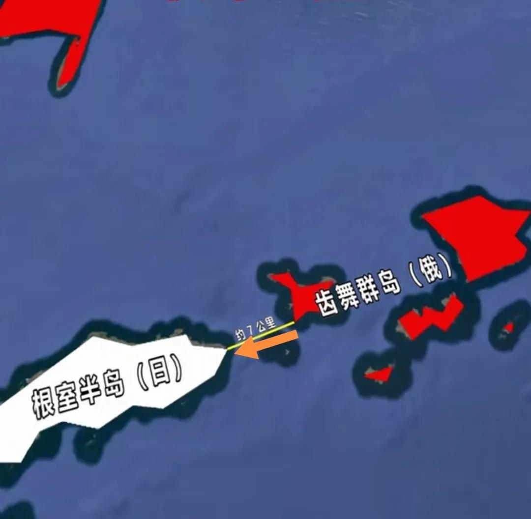 俄罗斯齿舞群岛与日本根室半岛仅约7公里（日本：北方四岛）。