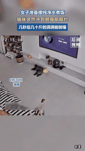 惊呆所有人：近日湖南，女子准备去接纯净水煮午饭，原本睡在客厅的猫咪突然冲到女子身