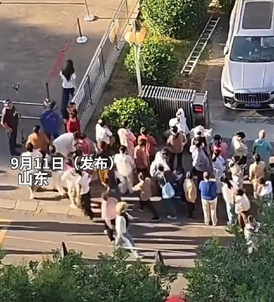 9月11日，山东。幼儿园放学了，校外早已围满了接孩子的家长。一位孩子的妈妈，早早