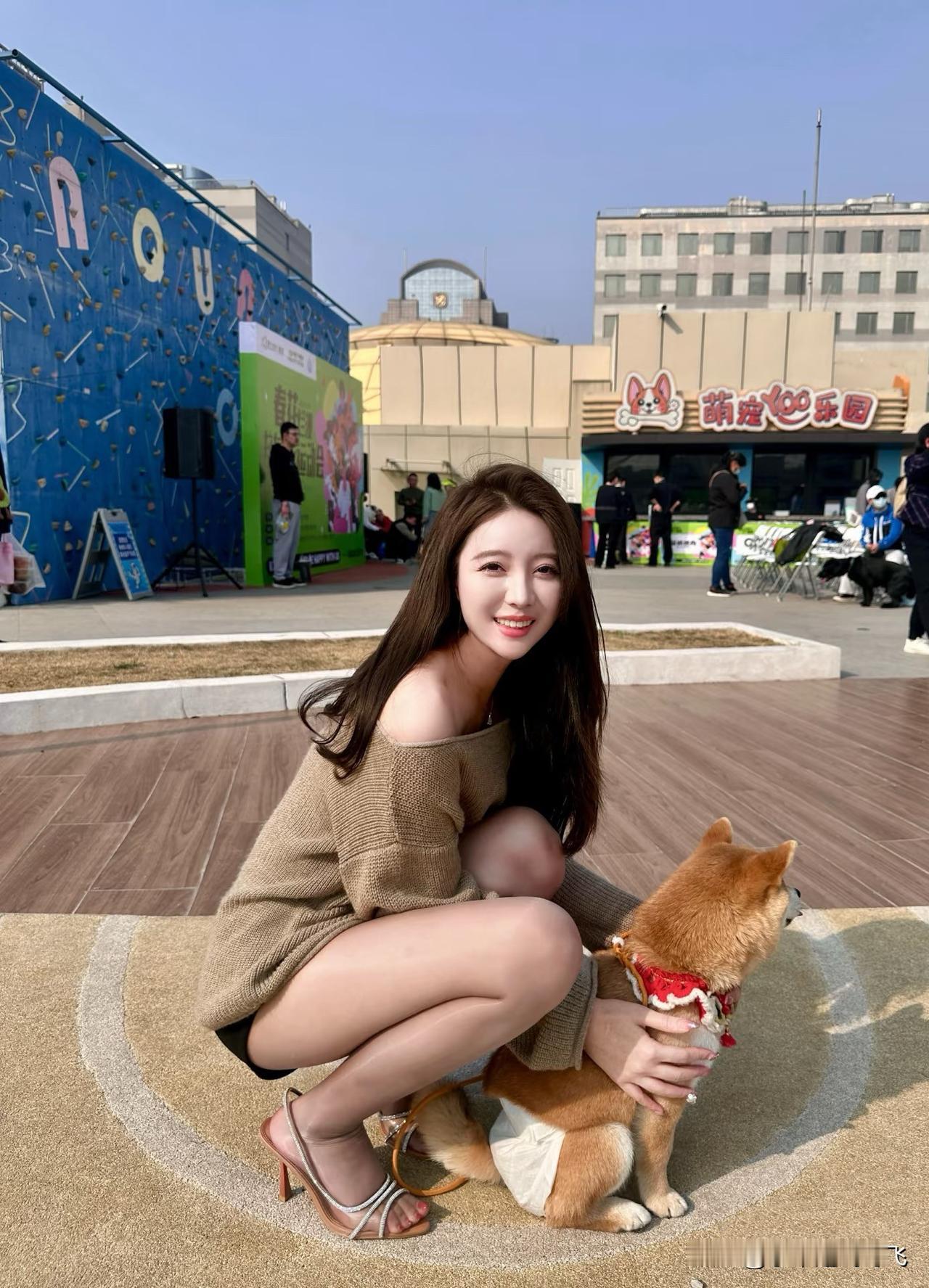 空姐和萌宠[比心]周末举行的萌宠运动会，看见萌宠的那一刻，瞬间心都化了