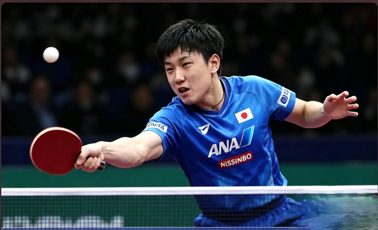 57年荣耀不倒：国乒的底蕴，从来不是狂言能撼动从1961年首夺世乒赛男团冠军